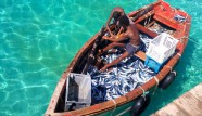 Cape Verde Islands Oosterschelde